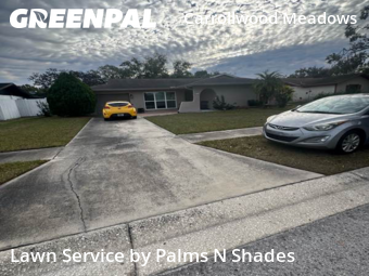 Yard Cutting nearby Tampa, FL, 