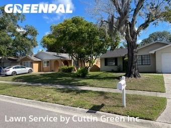 Lawn Cutting nearby Citrus Park, FL, 