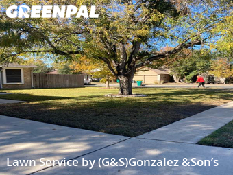 Yard Mowing nearby Converse, TX, 