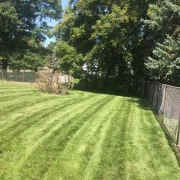 local-lawn-care-services-in-Plymouth-MN