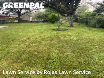 Grass Cut nearby San Juan, TX, 
