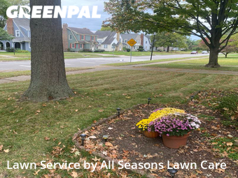 Grass Cutting nearby South Bend, IN, 
