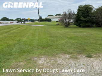 Grass Cutting nearby Bowdon, GA, 