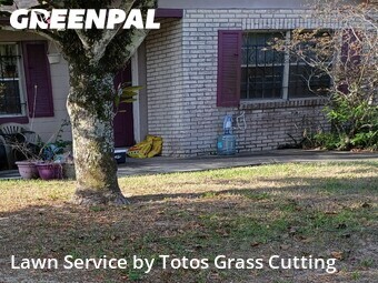 Grass Cut nearby Apopka, FL, 