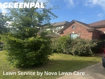Lawn mowed in Austin, 78660