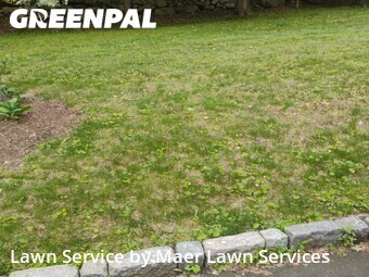 Lawn mowed in Wilton, 6897