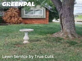 Lawn Care Service nearby The Village, OK, 