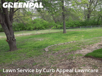 Yard Cutting nearby St. Peters, MO, 