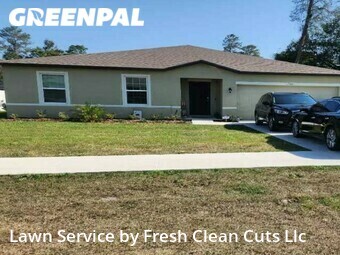 Lawn Cut nearby Spring Hill, FL, 
