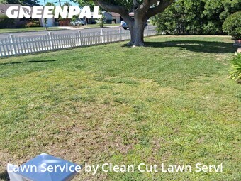 Lawn Mow nearby Fresno, CA, 