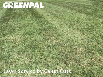 Lawn Cut nearby Murfreesboro, TN, 