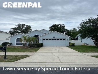 Lawn Cut nearby Safety Harbor, FL, 