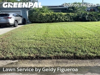 Yard Mowing nearby St. Petersburg, FL, 