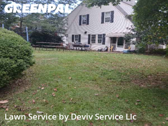 Lawn Mowing in University Park, 20782, Lawn Cutting by Deviv Service Llc, work completed in Oct , 2025