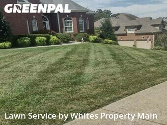 Lawn Mow nearby Knoxville, TN, 