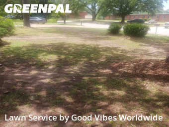 Turf Services in Albany, 31707, Yard Services by Good Vibes Worldwide, work completed in Nov , 2025