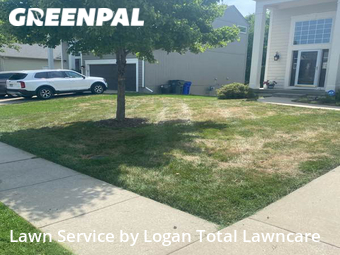 Grass Cut nearby Lenexa, KS, 