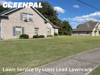 Grass Cutin Smyrna,37167,Lawn Service by Lions Lead Lawncare , work completed in Nov , 2025