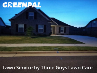 Lawn Management in Millington, 38053, Yard Grooming by Three Guys Lawn Care, work completed in Nov , 2025
