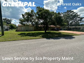 Lawn Mow nearby Spring Hill, FL, 