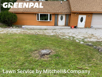 Yard Maintenance in Livonia, 48154, Yard Grooming by Mitchell&Company, work completed in Nov , 2025