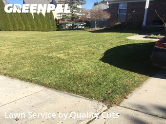 Yard Mowing nearby Ypsilanti, MI, 
