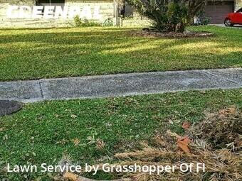Lawn Mow nearby Seffner, FL, 