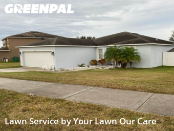 Grass Cutting nearby Groveland, FL, 