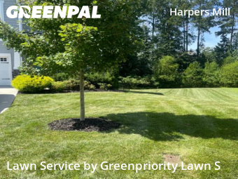 Yard Mowing nearby Chesterfield, VA, 