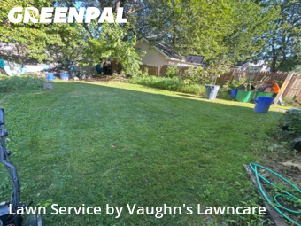 Grass Cut nearby East Orange, NJ, 