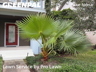 Lawn Service nearby Orlando, FL, 