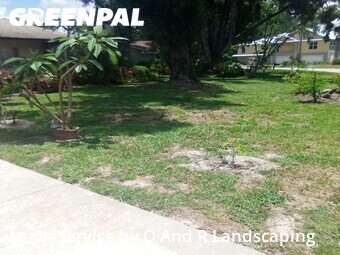 Lawn Cut nearby Tampa, FL, 