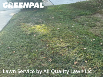 Yard Cutting nearby St. Peters, MO, 