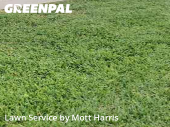 Yard Mowing nearby Boca Raton, FL, 