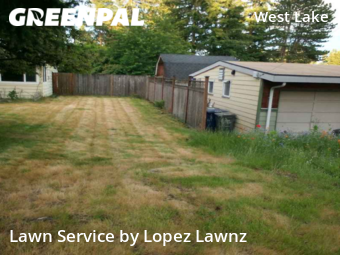 Lawn Cutting nearby Bellevue, WA, 