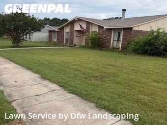 Yard Cuttingin The Colony,75056,Lawn Mow by Dfw Landscaping , work completed in Jun , 2026