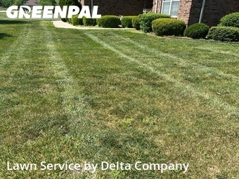 Lawn Care nearby Bowling Green, KY, 