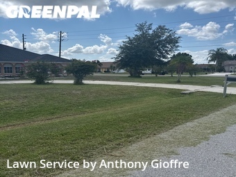 Lawn Cut nearby Punta Gorda, FL, 