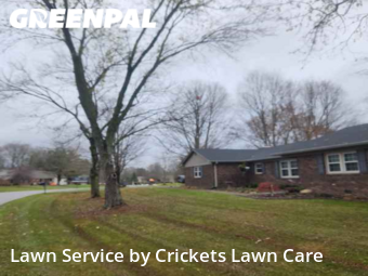Grass Cut nearby Zionsville, IN, 