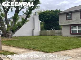Lawn Care nearby Dover, DE, 