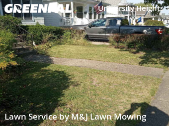 Grass Cut nearby Buffalo, NY, 