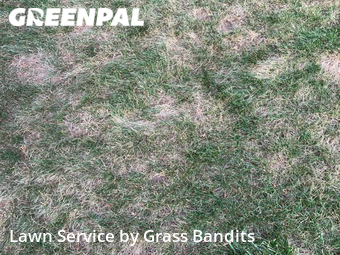 Lawn Service nearby Billings, MT, 