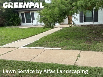 Yard Cutting nearby The Colony, TX, 
