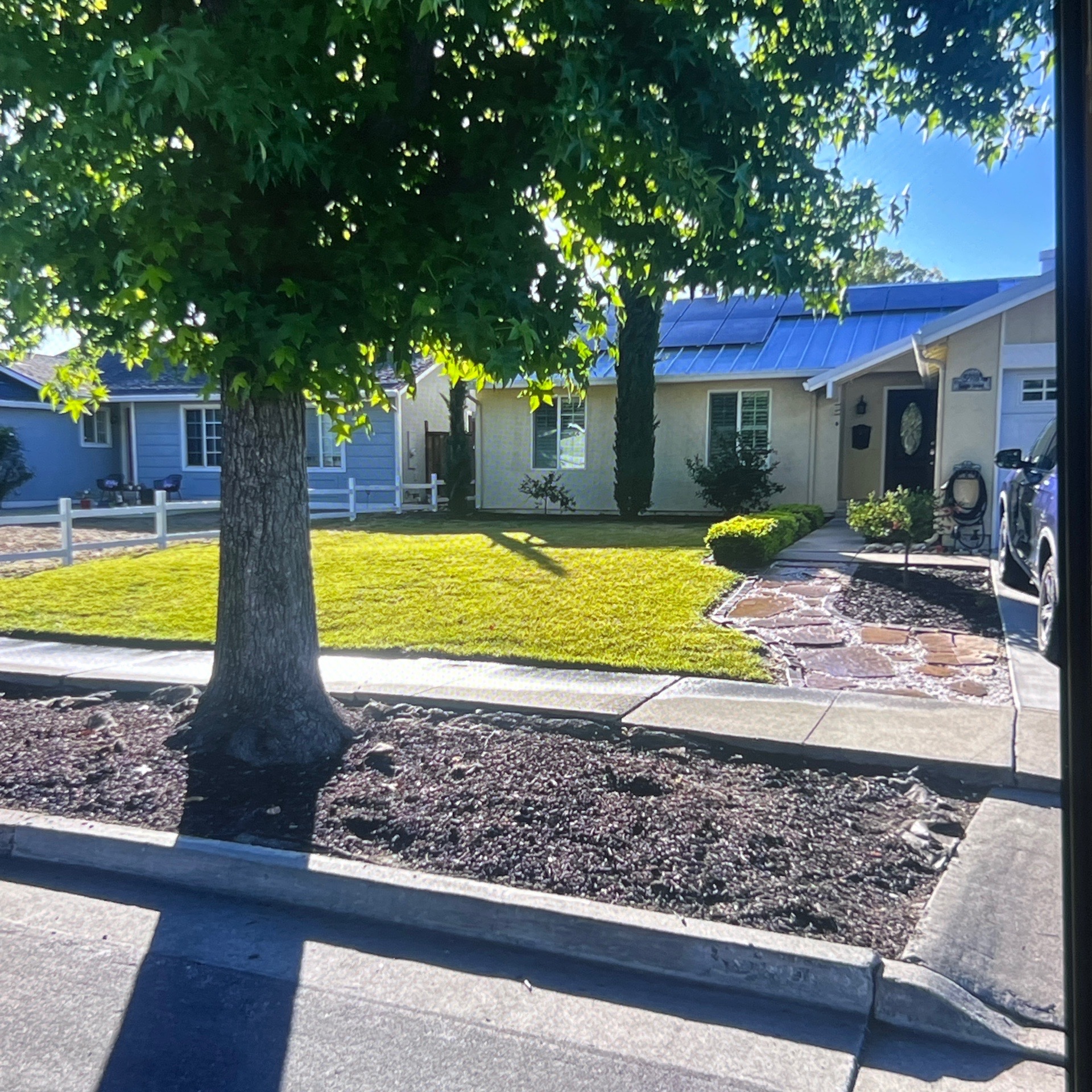 Lawn mowing work by Flor Property Servic in Castro Valley, CA