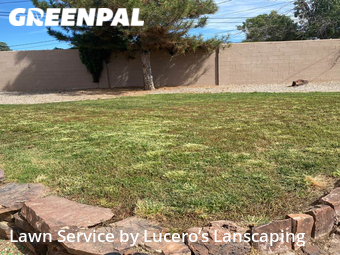 Grass Cut nearby Albuquerque, NM, 
