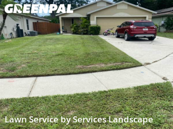 Lawn Mow nearby Kissimmee, FL, 
