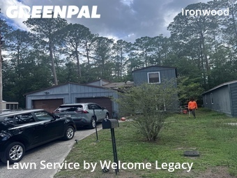 Lawn Cutting nearby Gainesville, FL, 