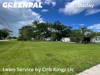 Grass Cut nearby Jacksonville, FL, 
