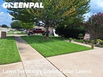 Grass Cut nearby Grand Prairie, TX, 
