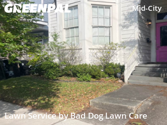 Lawn Cutting nearby New Orleans, LA, 